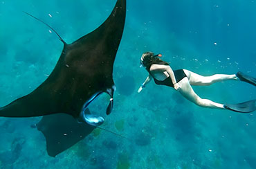 Manta Bay Snorkeling