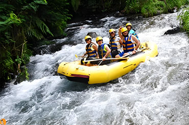 Bali Rafting And Elephant Ride Packages