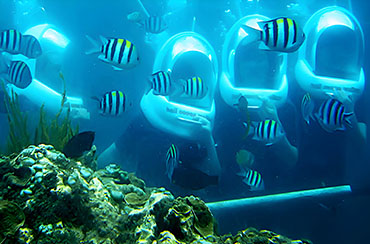 Bali Seawalker